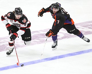 Chicago Steel right wing Tyler Gratton (8) and Youngstown Phantoms left wing Eric Esposito (7) go for an open puck during the 1st period as the Chicago Steel takes on the Youngstown Phantoms in the USHL Eastern Conference Semifinals, Friday, April 21, 2017 at The Covelli Centre...(Nikos Frazier | The Vindicator)..