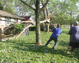 william d Lewis the vindicator A fast moving storm packing strong winds and heavy downed trees and power lines Sunday April 30, 1017. Ted Wills, right and friends  pull a downed tree away from his house at 5903 Glenridge in Bordman.