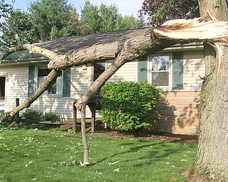 william d Lewis the vindicator A fast moving storm packing strong winds and heavy rain downed trees and powerlines Sunday April 30, 1017. Ken Neuberger uses a chain saw to remove a tree that fell at thhis brother in law Ted Wills house at 5903 Glenridge in Boardman.