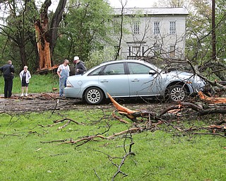        ROBERT K. YOSAY  | THE VINDICATO..An early afternoon storm -  brought down a tree on a car in Goshen Twp on State Rt 45.. the driver was shaken up but not injured