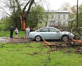        ROBERT K. YOSAY  | THE VINDICATO..An early afternoon storm -  brought down a tree on a car in Goshen Twp on State Rt 45.. the driver was shaken up but not injured