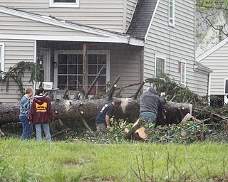        ROBERT K. YOSAY  | THE VINDICATO..An early afternoon storm -  yesterday left this tree...giant pine...  on Southern Blvd.