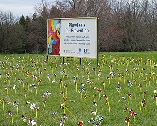 Neighbors | Alexis Bartolomucci.Pinwheels were placed at Boardman Park to represent the adults who provided a voice and advocated for abused and neglected children in Mahoning County.