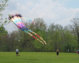 Neighbors | Alexis Bartolomucci.Guests at the Kids Shine 4 a Cute Kite Festival at Austintown Park spent the afternoon flying a kite.