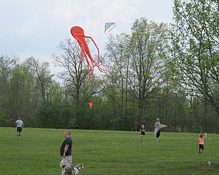 Neighbors | Alexis Bartolomucci.Families spent time together flying kites at Austintown Park for the seventh annual Kids Shnie 4 a Cure Kite Festival.