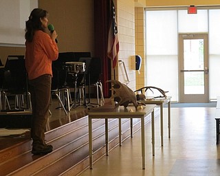 Neighbors | Alexis Bartolomucci.Jen Weber set up artifacts from when she lived in Alaska during her "Living in Alaska" presentation to the fifth-grade Austintown Intermediate School students.