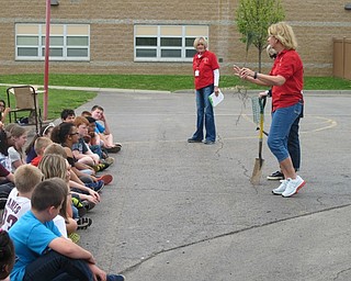 Neighbors | Alexis Bartolomucci.Robinwood Lane fourth-grade students learned about Arbor Day and how to care for a tree they received from the Boardman Lions Club on April 28.