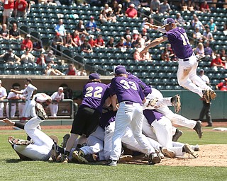 Champion Golden Flashes shortstop Lucas Nasonti (15) jumps onto the pile as the team celebrates defeating Berlin Hiland, 1-0 in the DIII baseball championship, Saturday, June 3, 2017 at Huntington Park in Columbus. Champion won 1-0...(Nikos Frazier | The Vindicator)
