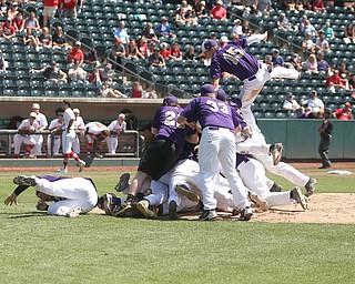 Champion Golden Flashes shortstop Lucas Nasonti (15) jumps onto the pile as the team celebrates defeating Berlin Hiland, 1-0 in the DIII baseball championship, Saturday, June 3, 2017 at Huntington Park in Columbus. Champion won 1-0...(Nikos Frazier | The Vindicator)