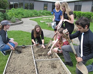 Neighbors| Alexis Bartolomucci.Glenwood Junior High students worked on planting flowers in the courtyard garden after receiving a grant from the national "Subaru Loves the Earth Campaign."
