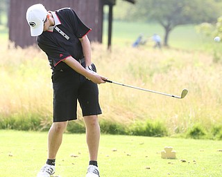 Cameron Colbert(U-14) drives on hole 14 during the Greatest Golfer of the Valley Junior Qualifier at Tam O'Shanter Golf Course, Thursday, June 15, 2017 in Hermitage...(Nikos Frazier | The Vindicator)