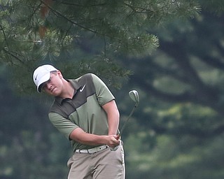 Brian Terlesky(U-17) chips the ball onto the green on hole 7 during the Greatest Golfer of the Valley Junior Qualifier at Tam O'Shanter Golf Course, Thursday, June 15, 2017 in Hermitage...(Nikos Frazier | The Vindicator)