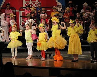 Neighbors | Abby Slanker.A group of C.H. Campbell Elementary School kindergartners sang “Cute Chicks” during the school’s annual performance of “E-I-E-I Oops!” at Canfield High School on May 31.