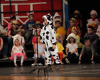 Neighbors | Abby Slanker.A C.H. Campbell Elementary School kindergartner, dressed as the cow who could not moo, was finally persuaded by his barnyard friends to moo during the school’s annual performance of “E-I-E-I Oops!” at Canfield High School on May 31.