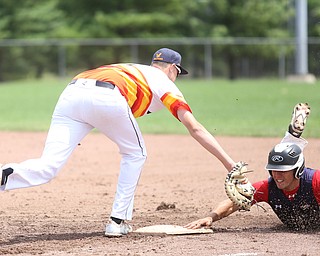 SBA Aces runner Jackson Deemer (35) slides back into first base as Astro Falcons first baseman Joe Rock(5) tags him during the 4th inning as Astro Falcons takes on SBA Aces, Saturday, July 1, 2017 at Bob Cene Park. Astros won 6-0...(Nikos Frazier | The Vindicator).