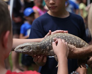 Kids pet a Savanna Monitor from Amazon Eric's reptile show during the 11th annual Celebrate Poland weekend at Village Hall, Saturday, July 1, 2017 in Poland...(Nikos Frazier | The Vindicator)
