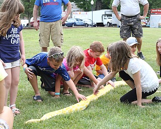 Kids pet a snake during the 11th annual Celebrate Poland weekend at Village Hall, Saturday, July 1, 2017 in Poland...(Nikos Frazier | The Vindicator)