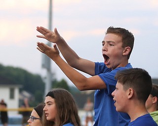 Poland fans cheer on the girls during the 6th inning as Canfield takes on Poland in the 12u Little League district title, Monday, July 3, 2017 at Fields of Dreams in Boardman. Poland won 7-6...(Nikos Frazier | The Vindicator)..
