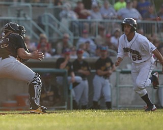 Scrappers vs Black Bears