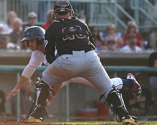 West Virginia Black Bears catcher Yoel Gonzalez (48) leans down for the pass to out Mahoning Valley Scrappers short stop Jesse Berardi (52) in the third inning against the Mahoning Valley Scrappers/West Virginia Black Bears, Tuesday, July 4, 2017, at Eastwood Field in Niles...(Nikos Frazier | The Vindicator)..