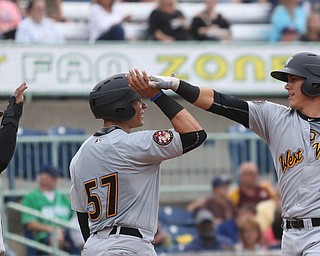 West Virginia Black Bears short stop Tristan Gray (2) high fives West Virginia Black Bears catcher Deon Stafford (57) and West Virginia Black Bears second baseman Gift Ngoepe (29) after Gray scored a home run in the first inning as the Mahoning Valley Scrappers take on the West Virginia Black Bears, Thursday, July 6, 2017, at Eastwood Field in Niles. ..(Nikos Frazier | The Vindicator)..