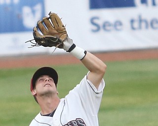 Scrappers vs Black Bears