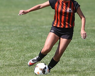 Warren G. Harding v Springfield Local during the 9th annual Cardinal Classic soccer at Canfield High School, Saturday, July 8, 2017 in Canfield...(Nikos Frazier | The Vindicator)