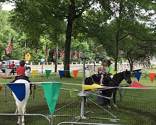 Neighbors | Alexis Bartolomucci.Children rode around on ponies during the Celebrate Poland event on July 1.