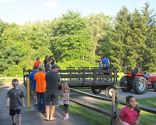 Neighbors | Alexis Bartolomucci.Families got onto the wagon for a hayride around Boardman Park for the Family Night in the Park on July 8.