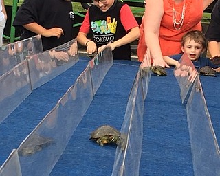 Youngstown Lions Club 56th annual Turtle Derby raised more than $23,000 for the club’s Youngstown Sight-Saving Fund. The event took place at the Cruising on the River Car Show on East Water Street in Lowellville. Children raced dozens of turtles with races sponsored by local businesses. When the event was finished, the children were permitted to take the turtles home as pets. The Lion’s Club International Foundation’s main mission is sight savings, and the local club donates to many other charities.