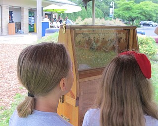 Neighbors | Alexis Bartolomucci.Some of the children checked out a beehive that was at the Fellows Riverside Garden Family Fun Friday event on June 23.