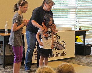 Neighbors | Alexis Bartolomucci.Children had the opportunity to volunteer and have two cornsnakes wrapped around them during the Our Zoo to You program at the Austintown library.