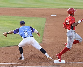 Mahoning Valley Scrappers first baseman Ulysses Cantu (8) with the catch to out Williamsport Crosscutters center fielder Malvin Matos (26) in the second inning as the Scrappers take on the Williamsport Crosscutters, Friday, July 28, 2017, at Eastwood Field in Niles. ..(Nikos Frazier | The Vindicator)..