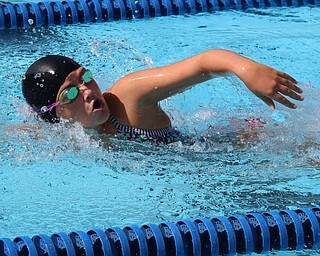 Lourden Dinardo of the Logan Swim Club competes in the girls 11-12 year old 50 meter freestyle during the Youngstown Swim League championships at the Poland Swim club in Poland on Saturday morning.  Dustin Livesay  |  The Vindicator  7/29/17  Poland.