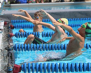 Ayden McConahy (right) of the Logan Swim Club gets a quick start out of the blocks during the 25 meter backstroke during the Youngstown Swim League championships at the Poland Swim club in Poland on Saturday morning.  Dustin Livesay  |  The Vindicator  7/29/17  Poland.