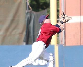 Mahoning Valley Scrappers second baseman Dillon Persinger (50) with the catch in the fifth inning as the Scrappers take on the Batavia Muckdogs, Sunday, July 30, 2017, at Eastwood Field in Niles. TEAM won 00-00...(Nikos Frazier | The Vindicator)..