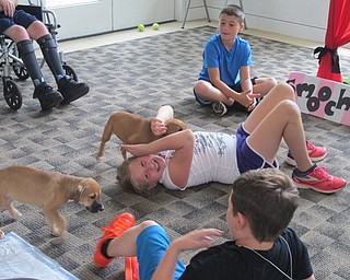 Neighbors | Alexis Bartolomucci.Puppies at the Pooch-a-Palooza on July 19 at the Austintown library played with the children on the floor who came to visit.