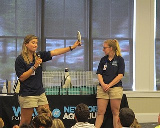 Neighbors | Alexis Bartolomucci.WAVE members Savannah and Devin spoke to the children about the African Penguin, Green Bean, they brought with them to the Canfield library.