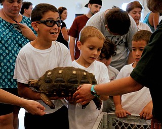 Carl Long Jr. of Austintown tries to hold a large tortoise during the Reptile and Amphibian show at the Mill Creek Farm in Canfield on Sunday afternoon. Dustin Livesay | The Vindicator 8/6/17 Canfield