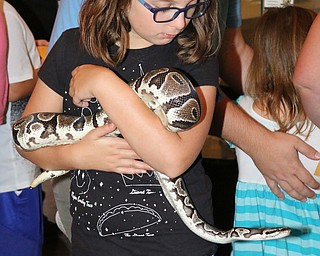 Maria Mastroberardino (9) of Struthers holds a Ball Python during the Reptile and Amphibian show at the Mill Creek Farm in Canfield on Sunday afternoon. Dustin Livesay | The Vindicator 8/6/17 Canfield