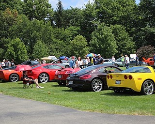 Neighbors | Abby Slanker.Cars lined up for viewing at the Mahoning Valley Olde Car Club’s 39th annual Cars in the Park Car Show and Flea Market in Boardman Park on Aug. 6.