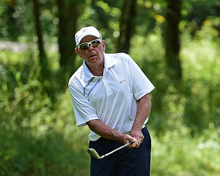 BOARDMAN, OHIO - AUGUST 18, 2017: Chuck Troll chips onto the green from the short rough on the 7th hole on the south course, Friday afternoon during the Vindicator Greatest Golfer Tournament. DAVID DERMER | THE VINDICATOR