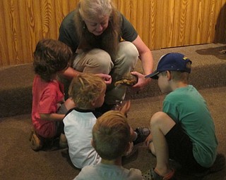 Neighbors | Zack Shively  .Marilyn Williams shows the children an eastern box turtle at the Ford Nature Center on Aug. 10 during the Children's Nature Hour.
