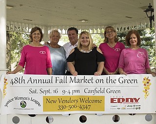 The Junior Women’s League of Canfield will sponsor the 48th annual Fall Market on the Green in Canfield from 9 a.m. to 4 p.m. Sept. 16, rain or shine. The event will feature more than 200 vendors, plus food trucks, dog rescues, 50-50 raffle, fresh fruits and vegetables and local and regional artisans showcasing their products for sale. Last year, a record $11,000 was raised to help local charities and organizations, as well as local school programs and scholarships. This year, the market is being underwritten for the first time by Bob and Chuck Eddy Chrysler Dodge Jeep of Austintown. For information, call 330-506-4347. Above, from left, are Diane Smythe, Nancy Dove, Chuck Eddy, Kelly Verotsko, Peggy Rowe and MaryAnn Dwyer.