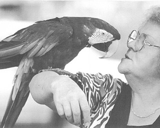 Jo Ann coe of Grove city, Oh talks to her macaw Mr. Hobbs at the 1992 Canfield Fair.