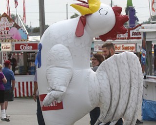     ROBERT K. YOSAY  | THE VINDICATOR..171st Canfield Fair is underway ..  as  Kalea Hall  was the Rooster of the 171 st....