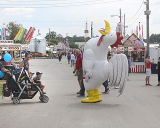     ROBERT K. YOSAY  | THE VINDICATOR..171st Canfield Fair is underway ..  as  Kalea Hall  was the Rooster of the 171 st....