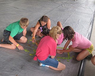 Neighbors | Zack Shively.A team of campers worked together to solve a puzzle at Boardman Park Camp on Aug. 7.