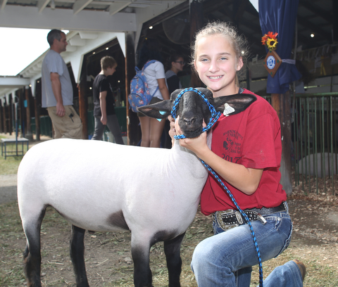 Abigail Gay(14) poses for a portrait with her lamb, Jay at the 171st Canfield Fair, Thursday, August 31, 2017, at the Canfield Fairgrounds in Canfield. Abigail is donating her lamb to the Junior Fair New Building Campaign...(Nikos Frazier | The Vindicator)