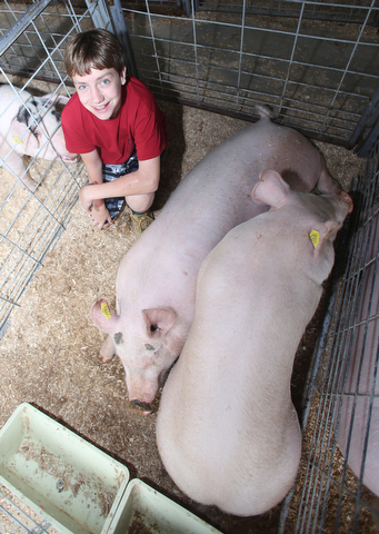 Will Bacho IV poses for a photo with his hogs, Speedbump(center) and Nissan(right) at the 171st Canfield Fair, Thursday, August 31, 2017, at the Canfield Fairgrounds in Canfield. Will is donating Speedbump to the Junior Fair New Building Campaign...(Nikos Frazier | The Vindicator)